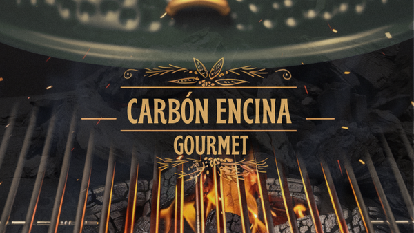 Carbón Encina Gourmet